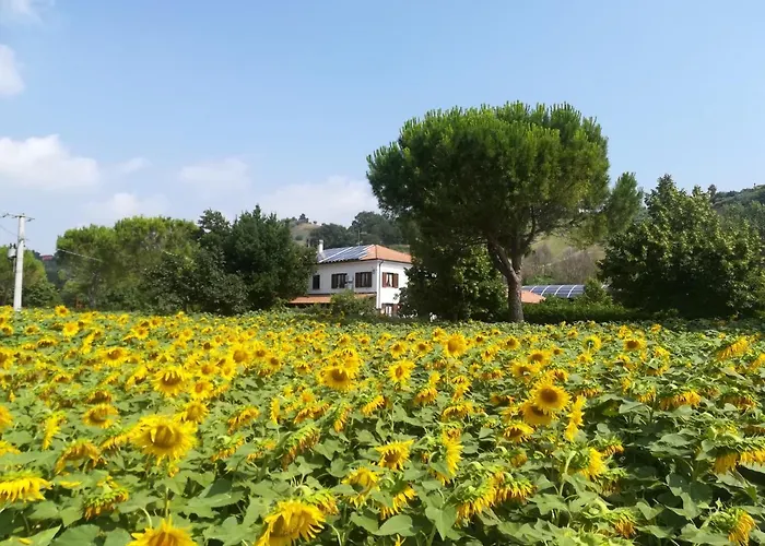 ChicchirichiAgriturismo